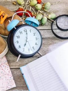 Fixed visa duration rule